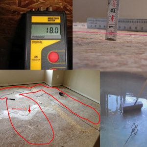 Guía Técnica de los Pisos de Madera — Timberfloors