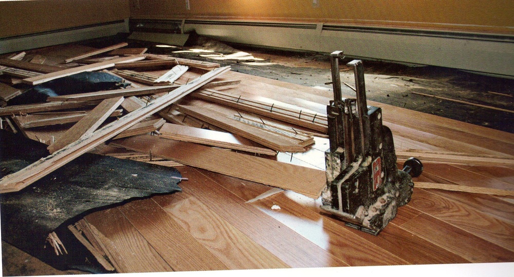 Fundamentos de la madera — Timberfloors