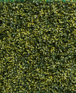 Timberfloors Acabados y pisos de madera Acabados y pisos de madera