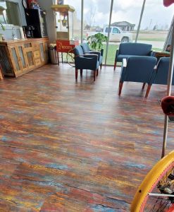 Alternative view of Euphorya