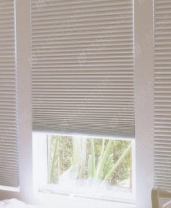 Alternative view of Celular